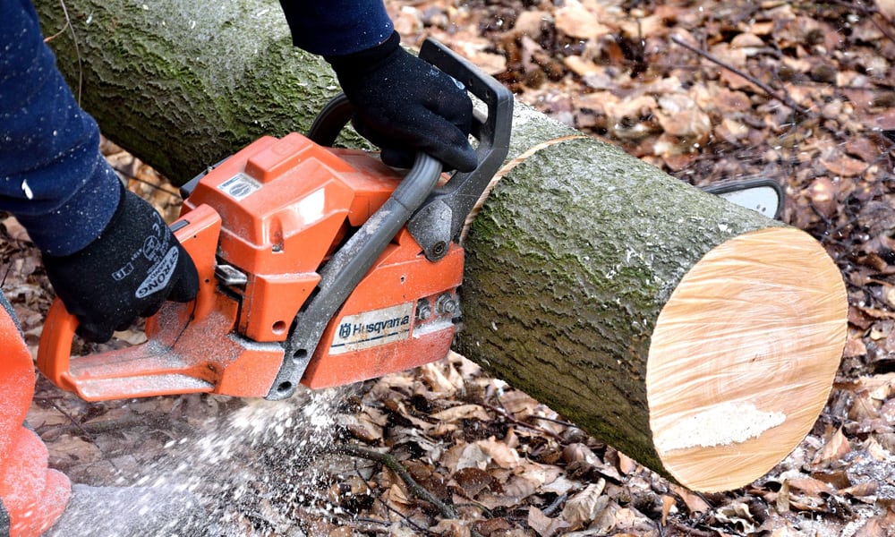 A chainsaw cutting through a tree