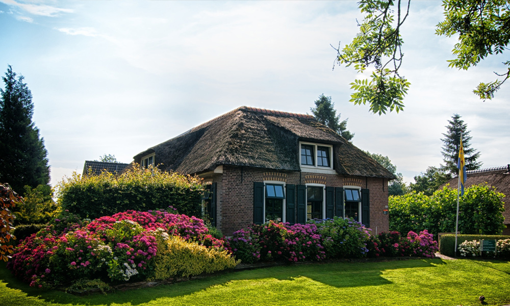 colorful house with flowers all around the house