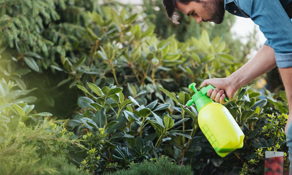 someone using a handheld garden sprayer