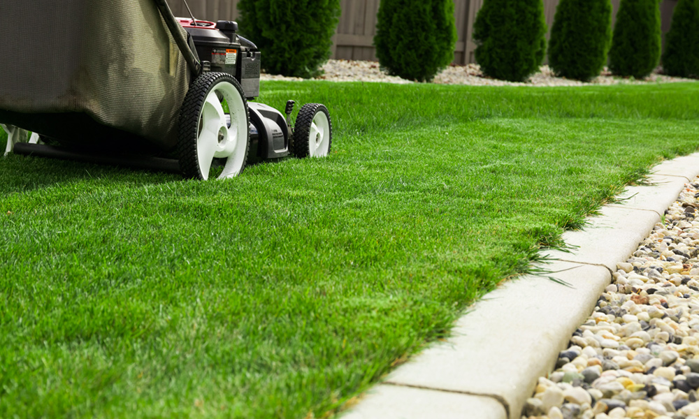gas lawnmower cutting grass
