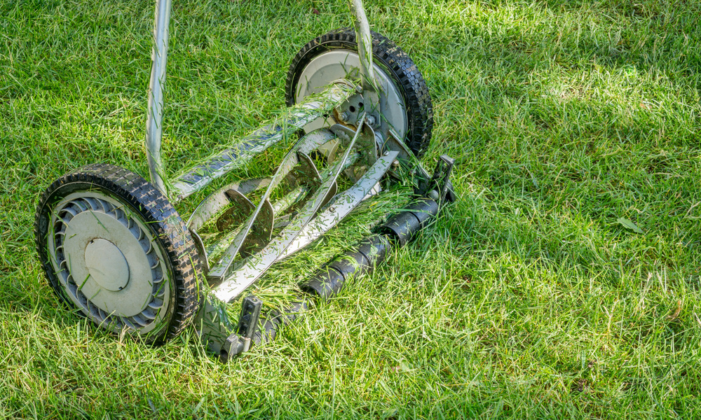 Reel mower on grass