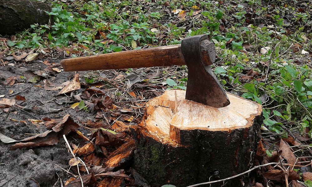 Axe chopped into a log